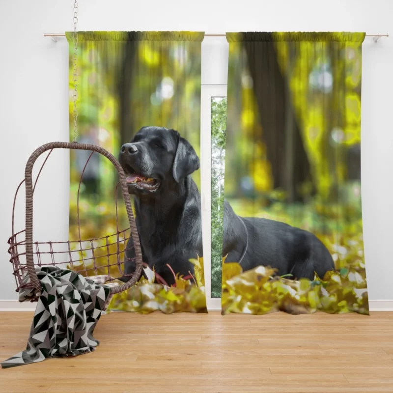 Labrador in Fall Leafy Whimsy Curtain