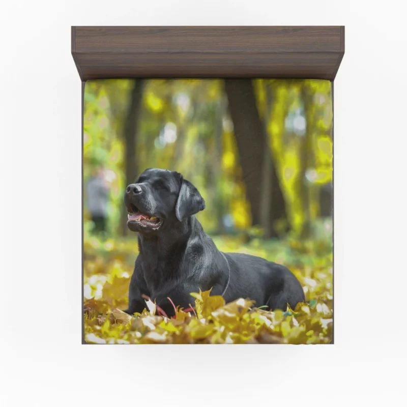 Labrador in Fall Leafy Whimsy Fitted Sheet 1