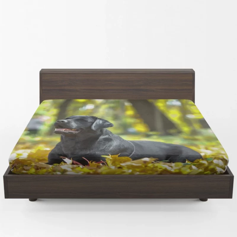 Labrador in Fall Leafy Whimsy Fitted Sheet