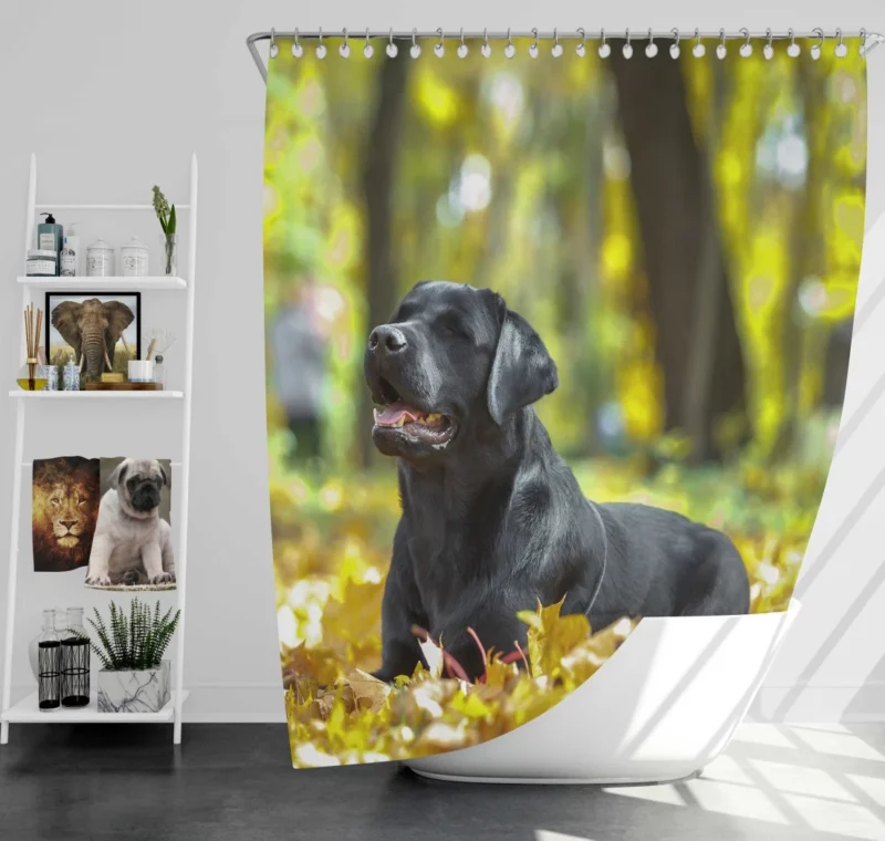 Labrador in Fall Leafy Whimsy Shower Curtain