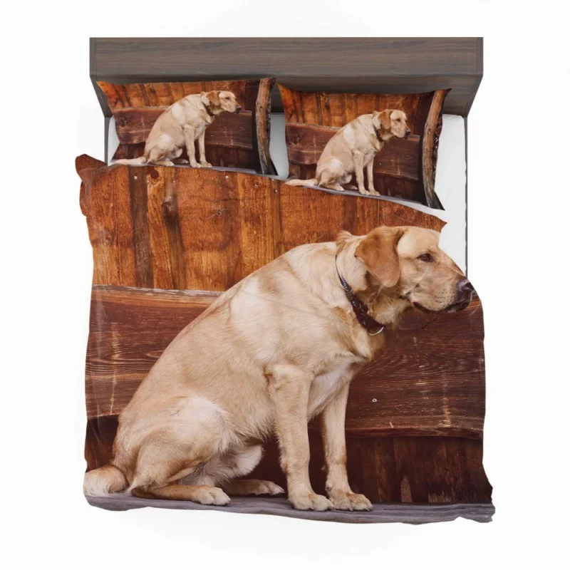 Labrador on Bench Serene Presence Bedding Set 1