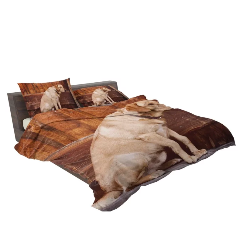 Labrador on Bench Serene Presence Bedding Set 2