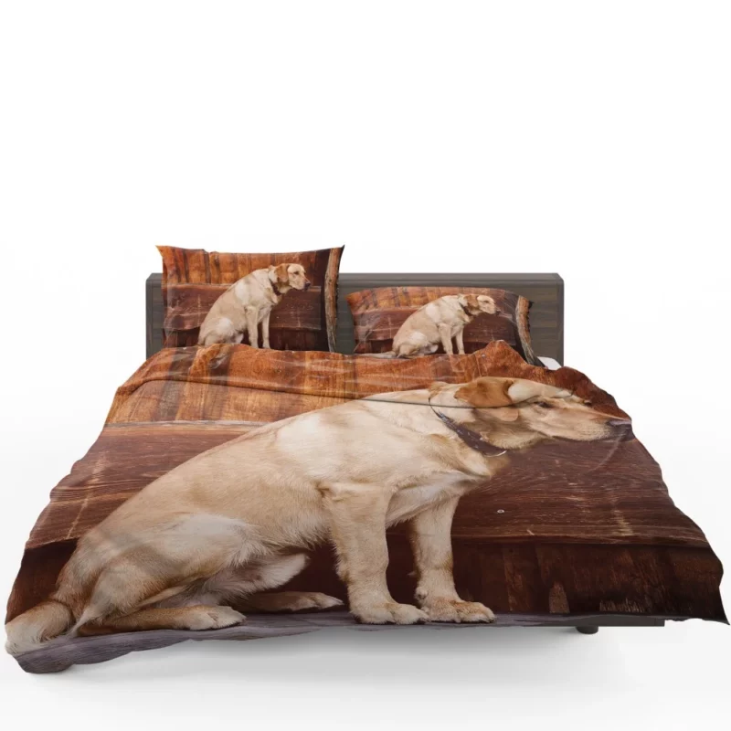 Labrador on Bench Serene Presence Bedding Set