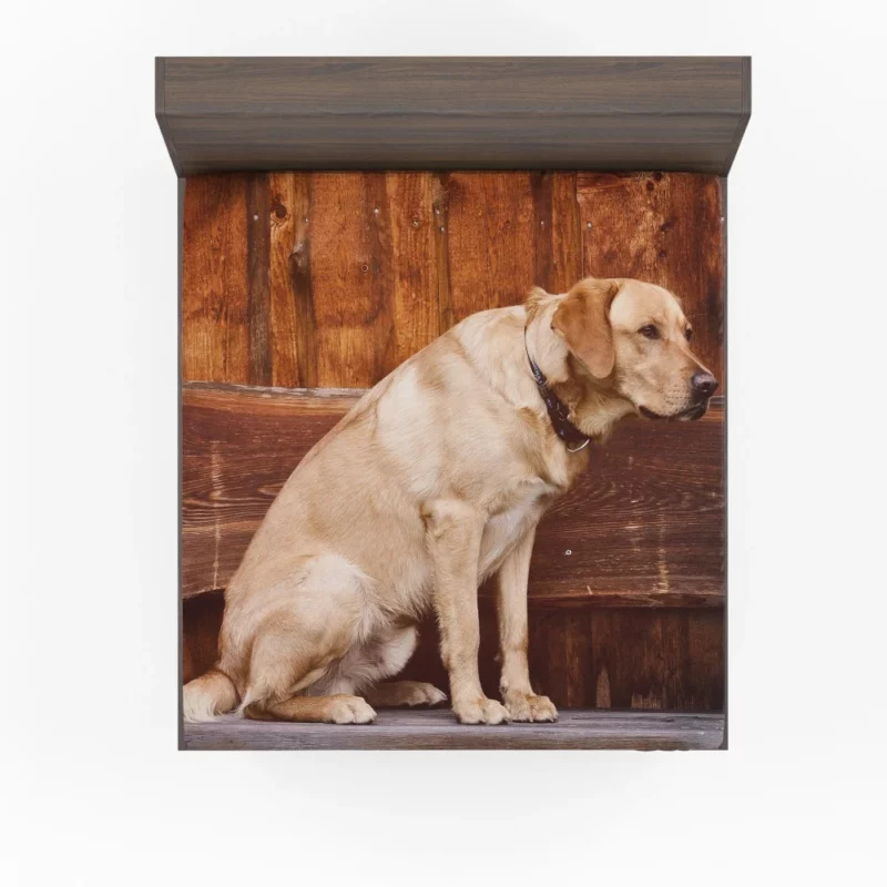 Labrador on Bench Serene Presence Fitted Sheet 1