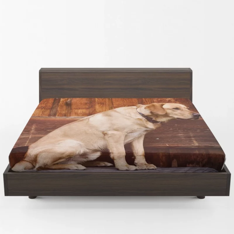 Labrador on Bench Serene Presence Fitted Sheet