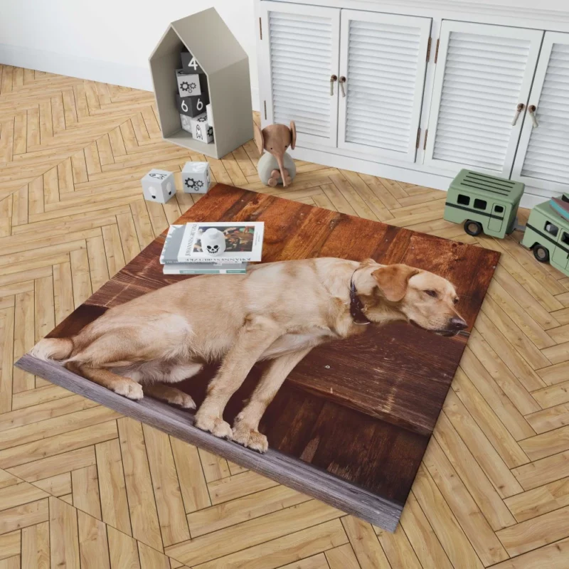 Labrador on Bench Serene Presence Rug 1