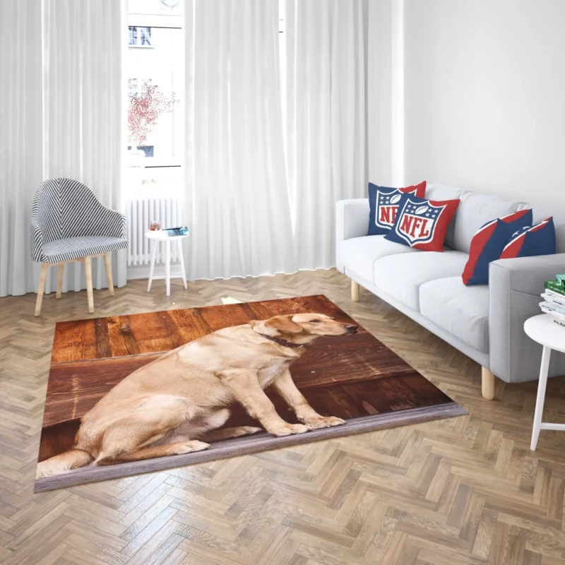 Labrador on Bench Serene Presence Rug 2