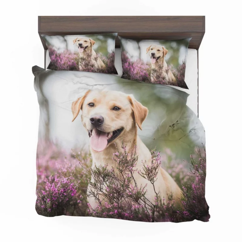 Lavender-Adorned Labrador Beauty Bedding Set 1