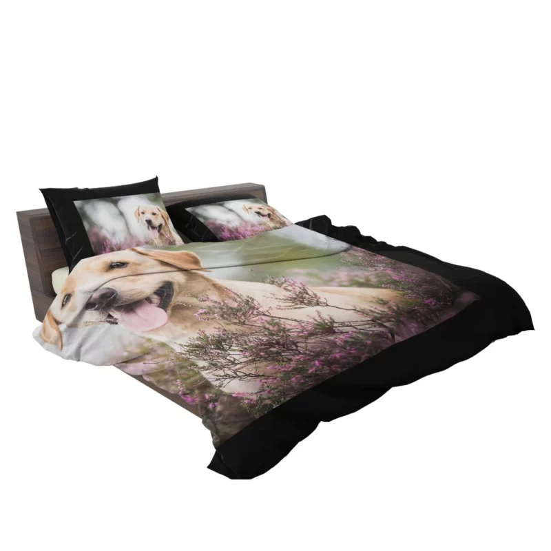 Lavender-Adorned Labrador Beauty Bedding Set 2