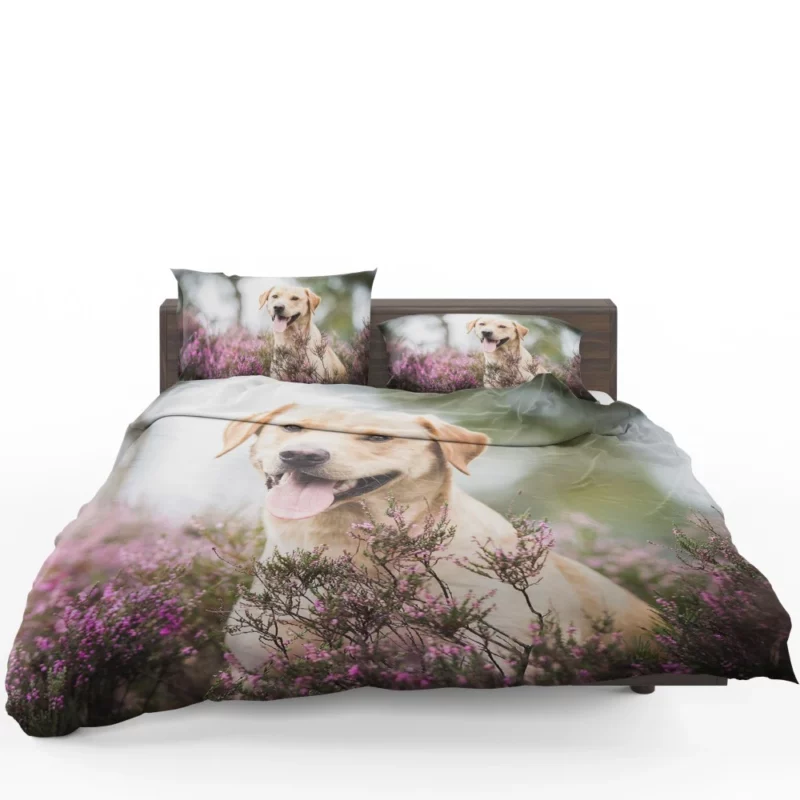 Lavender-Adorned Labrador Beauty Bedding Set