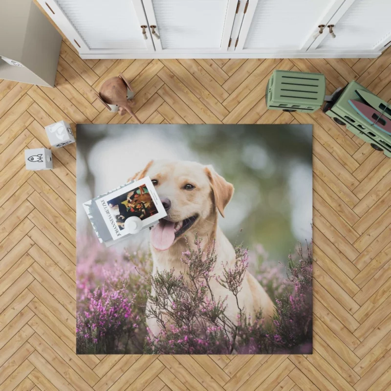 Lavender-Adorned Labrador Beauty Rug