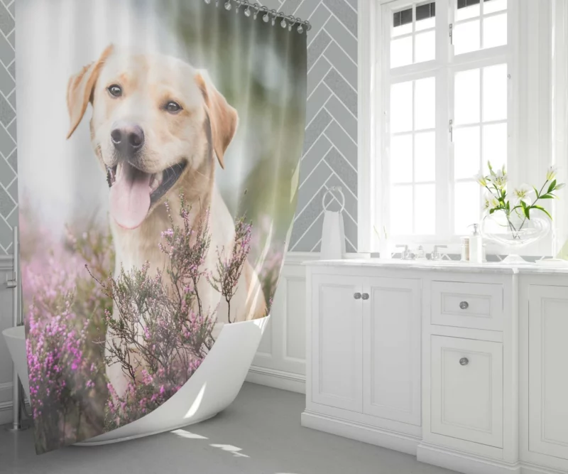 Lavender-Adorned Labrador Beauty Shower Curtain 1