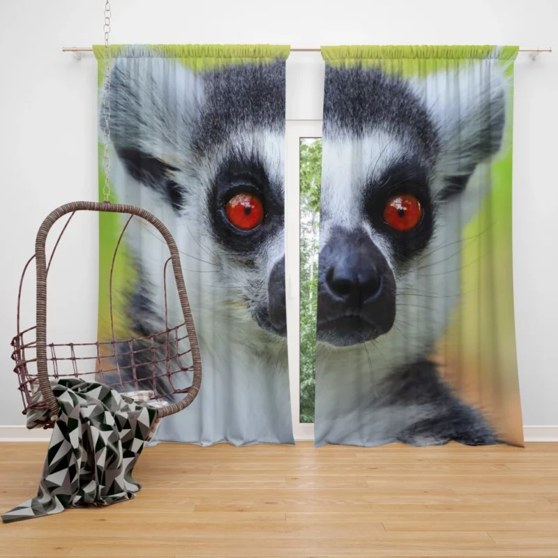 Lemur Playful Selfies Quirky Delight Curtain