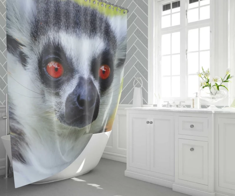 Lemur Playful Selfies Quirky Delight Shower Curtain 1