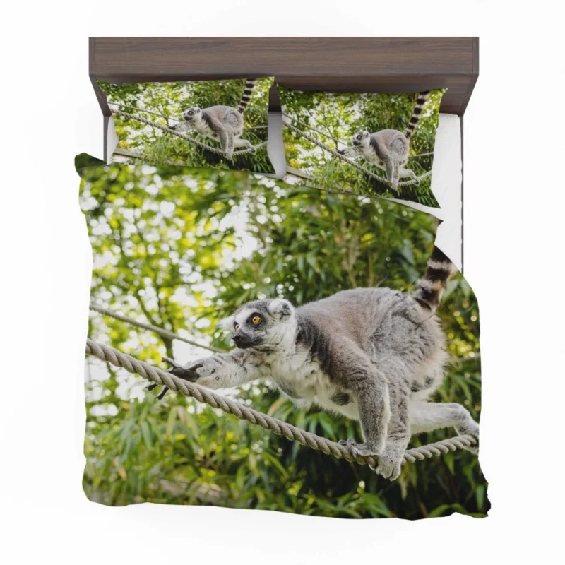 Lemur Primate Playfulness Innocent Charm Bedding Set 1