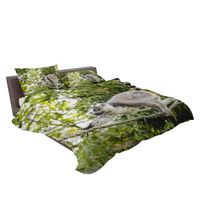 Lemur Primate Playfulness Innocent Charm Bedding Set 2