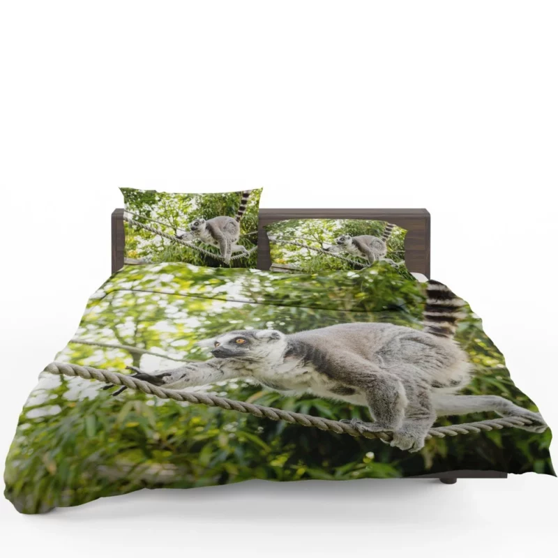 Lemur Primate Playfulness Innocent Charm Bedding Set