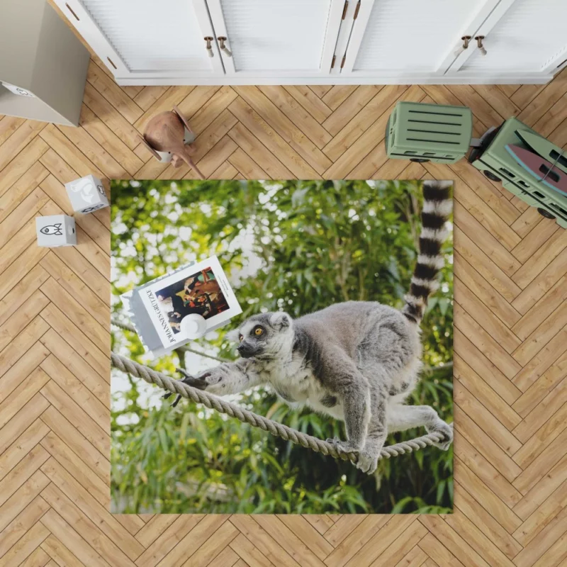 Lemur Primate Playfulness Innocent Charm Rug