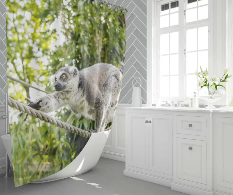 Lemur Primate Playfulness Innocent Charm Shower Curtain 1