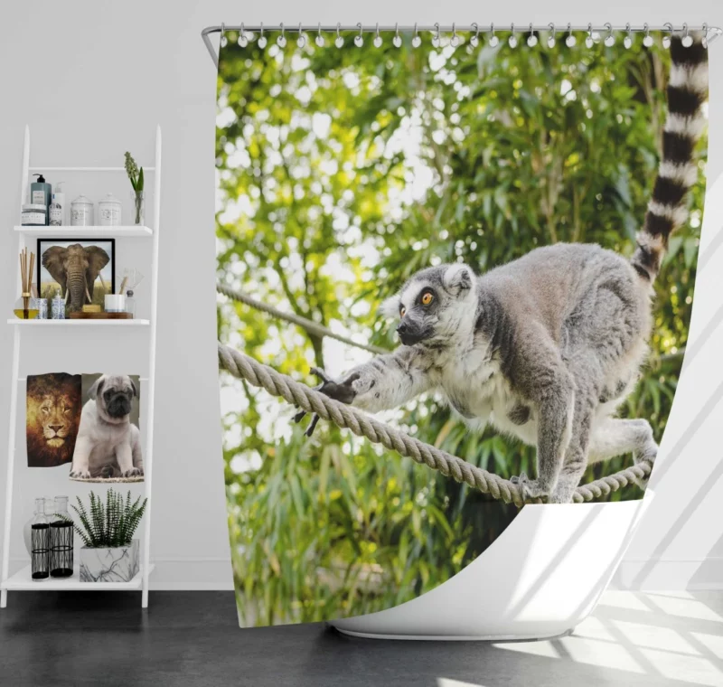 Lemur Primate Playfulness Innocent Charm Shower Curtain