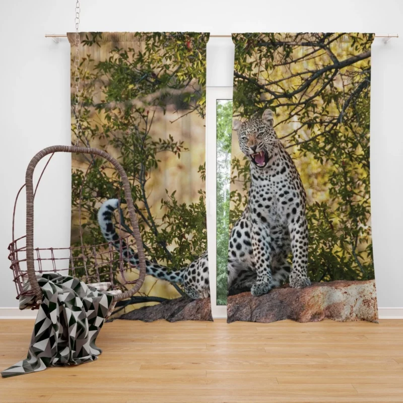 Leopard African Majesty Fierce Beauty Curtain