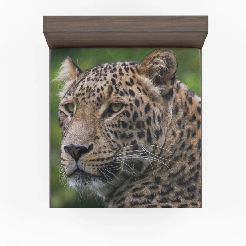 Leopard Agile Fitted Sheet 1