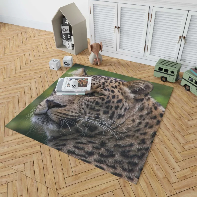 Leopard Agile Rug 1