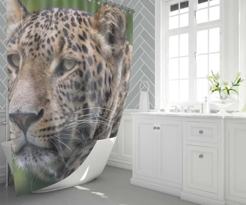 Leopard Agile Shower Curtain 1