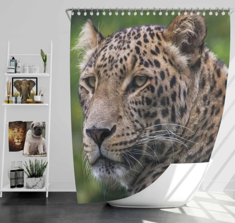 Leopard Agile Shower Curtain