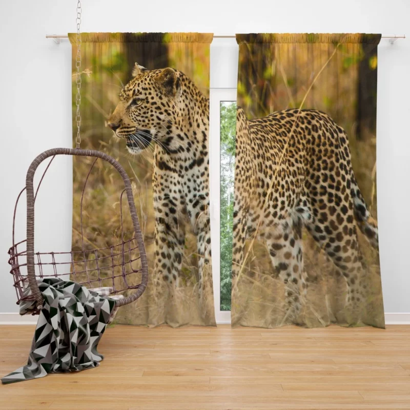 Leopard Artistic Beauty Natural Splendor Curtain