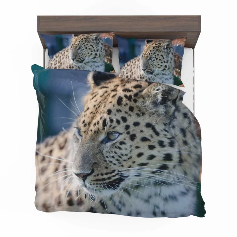 Leopard Captivating Close-Up Bedding Set 1