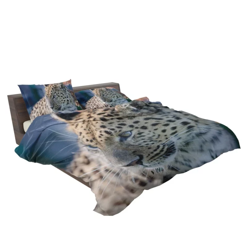 Leopard Captivating Close-Up Bedding Set 2