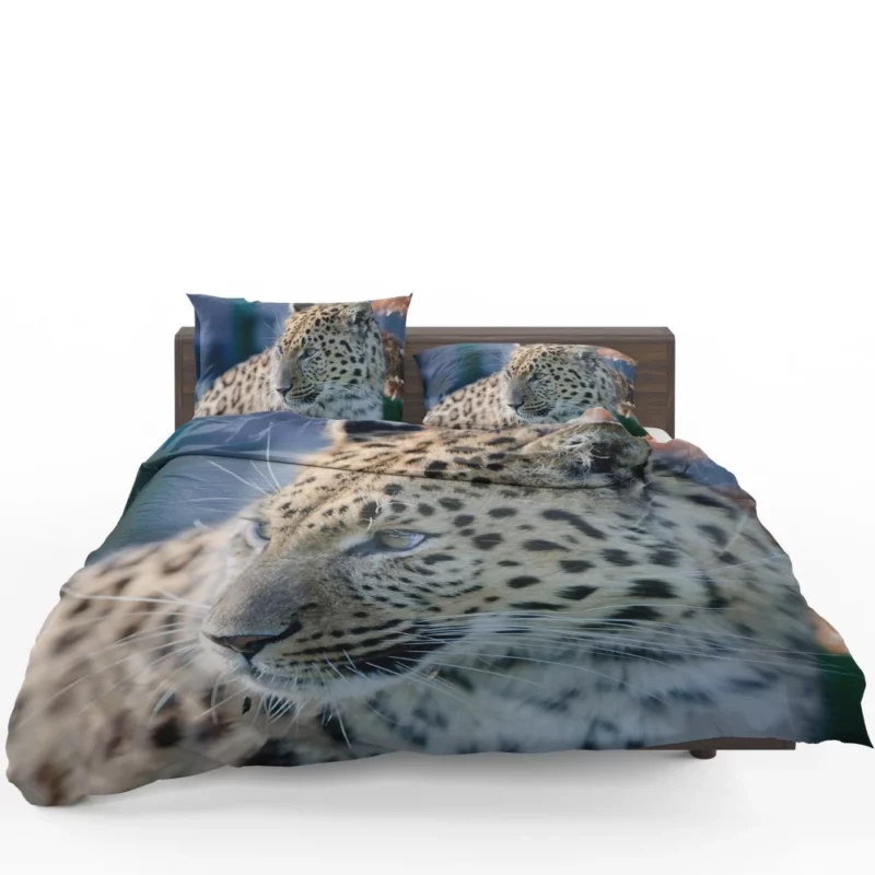 Leopard Captivating Close-Up Bedding Set