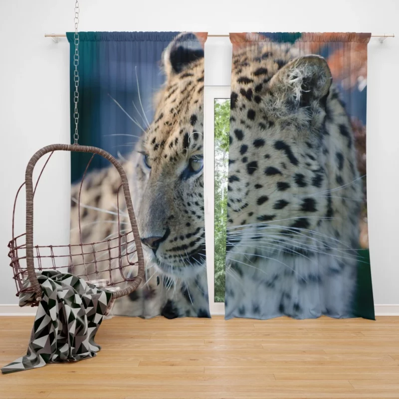 Leopard Captivating Close-Up Curtain