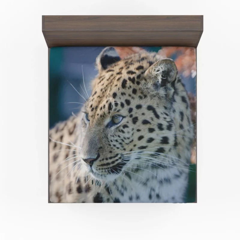 Leopard Captivating Close-Up Fitted Sheet 1