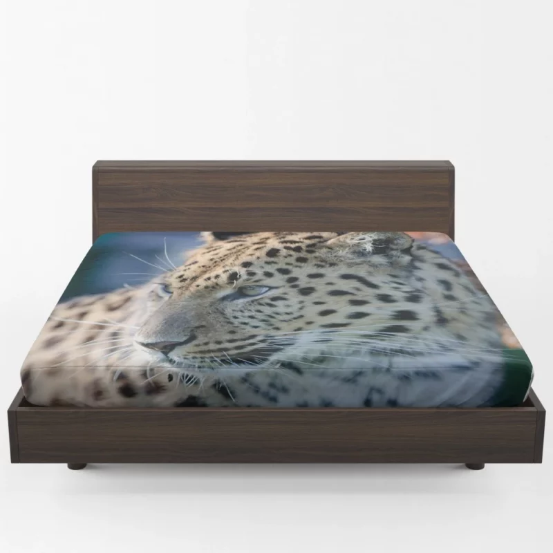 Leopard Captivating Close-Up Fitted Sheet