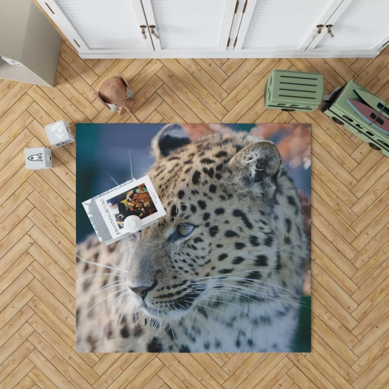 Leopard Captivating Close-Up Rug