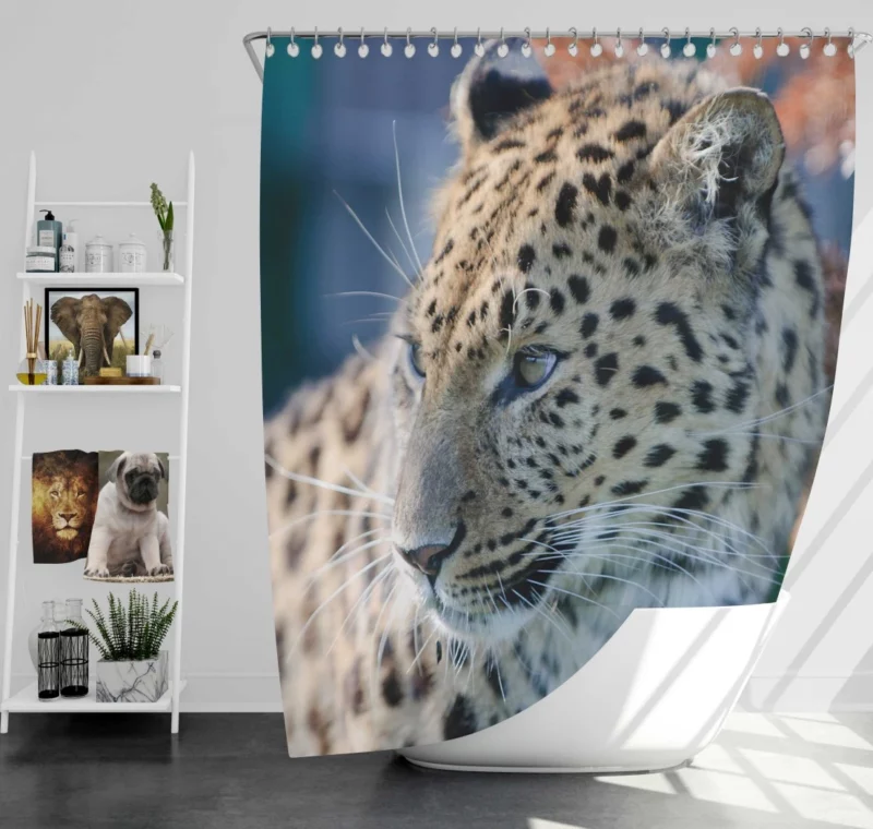 Leopard Captivating Close-Up Shower Curtain