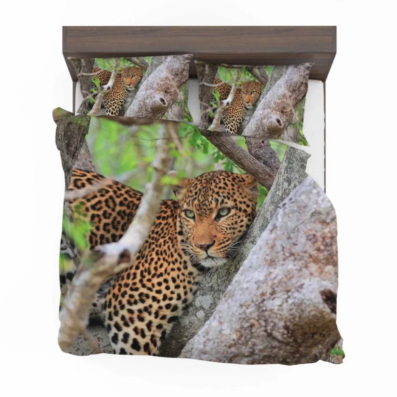 Leopard Cunning Bedding Set 1