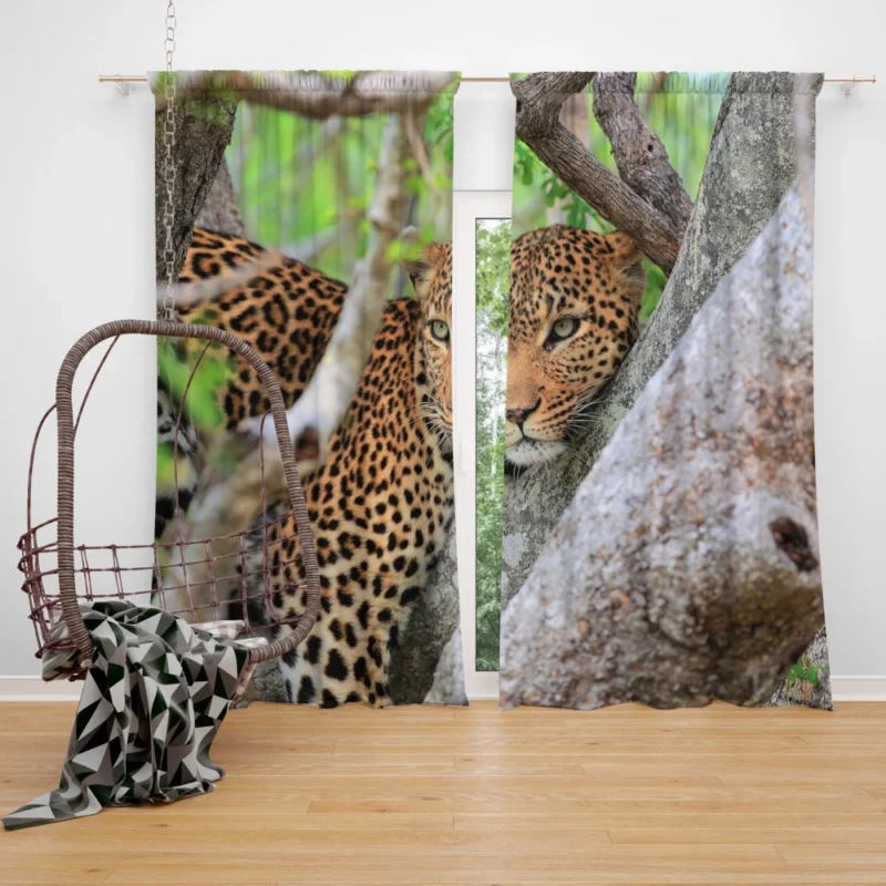 Leopard Cunning Curtain