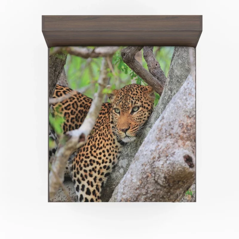 Leopard Cunning Fitted Sheet 1