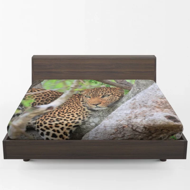 Leopard Cunning Fitted Sheet