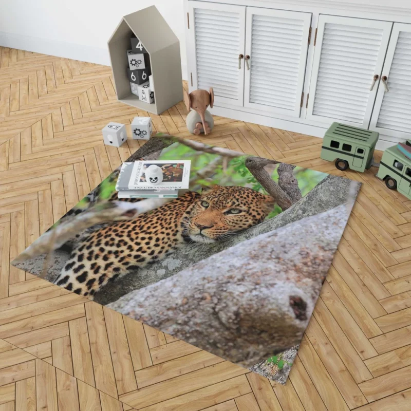 Leopard Cunning Rug 1