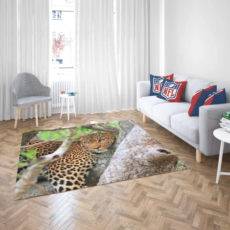 Leopard Cunning Rug 2