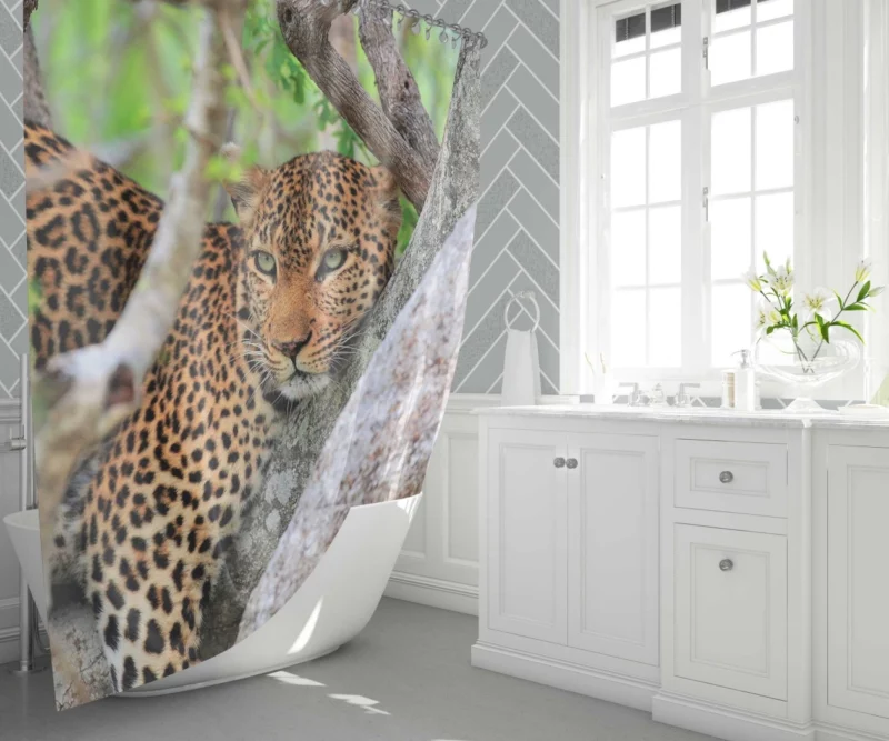 Leopard Cunning Shower Curtain 1