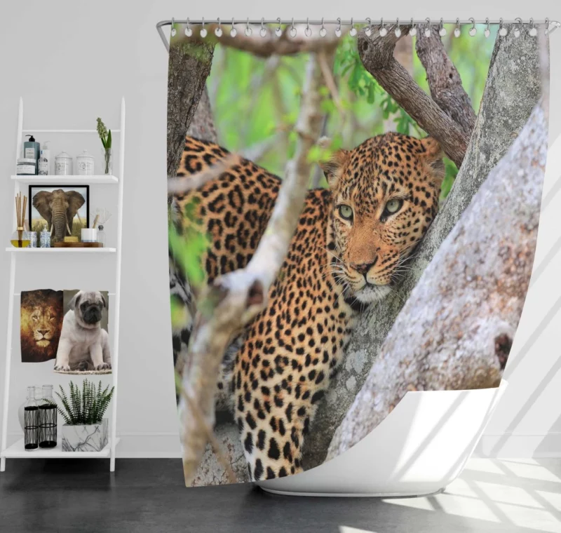 Leopard Cunning Shower Curtain