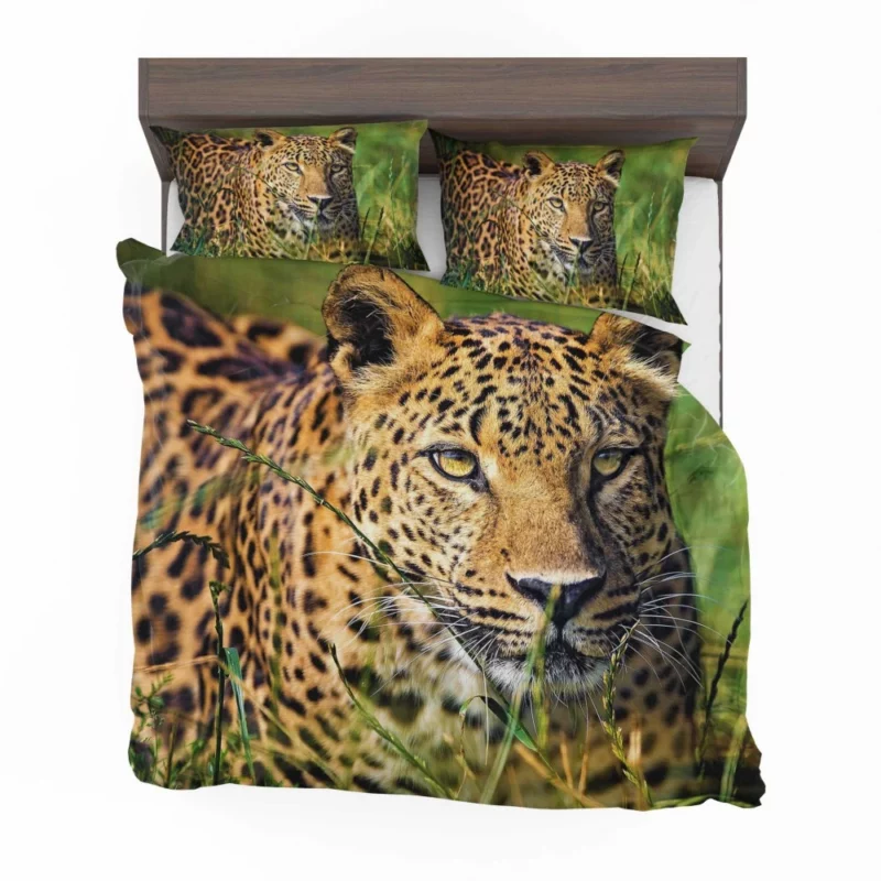 Leopard Elusive Bedding Set 1