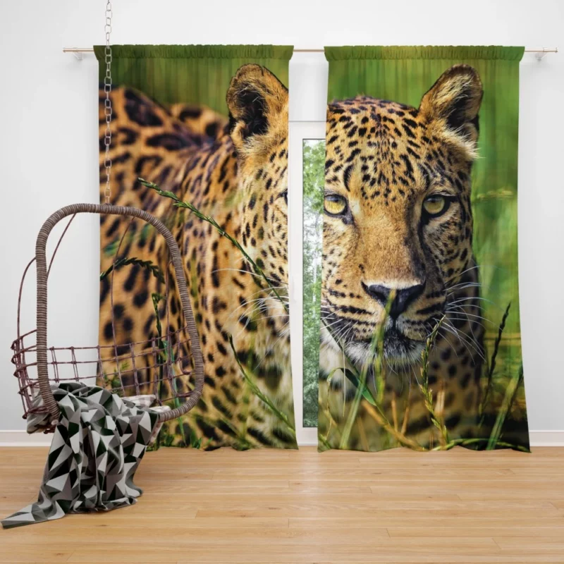 Leopard Elusive Curtain