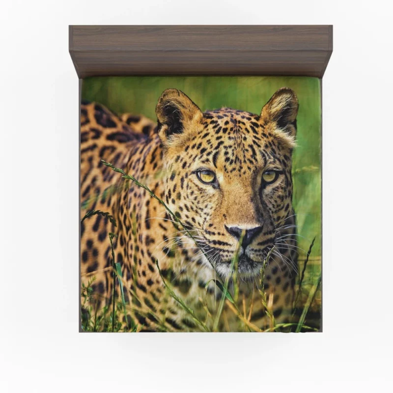 Leopard Elusive Fitted Sheet 1