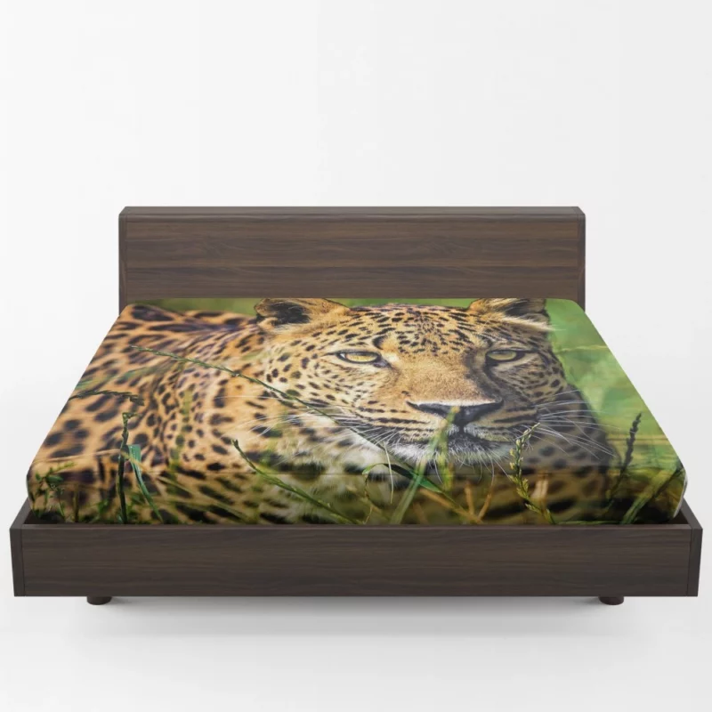 Leopard Elusive Fitted Sheet